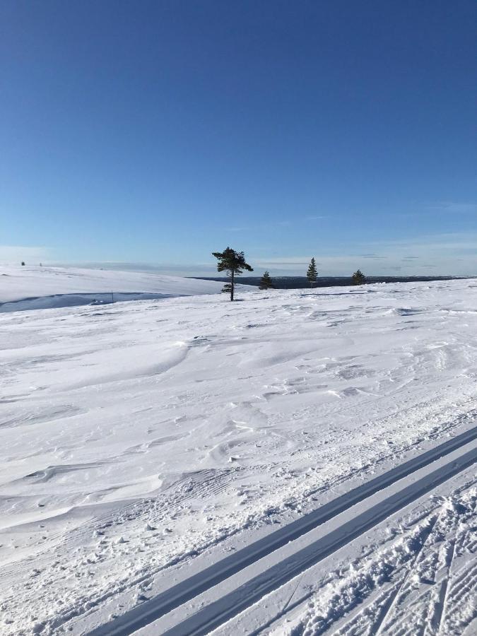 Apartment Suivakko Saariselkä Zewnętrze zdjęcie